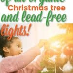 Why I buy an organic Christmas Tree (and lead free Christmas lights)