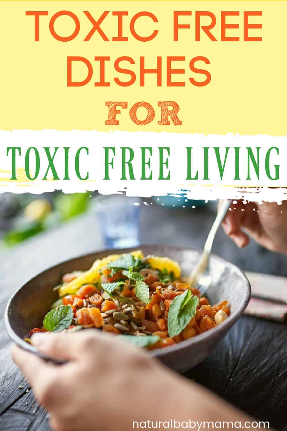 NonToxic Dishes Natural Baby Mama