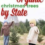 Organic Christmas Tree Farms by state