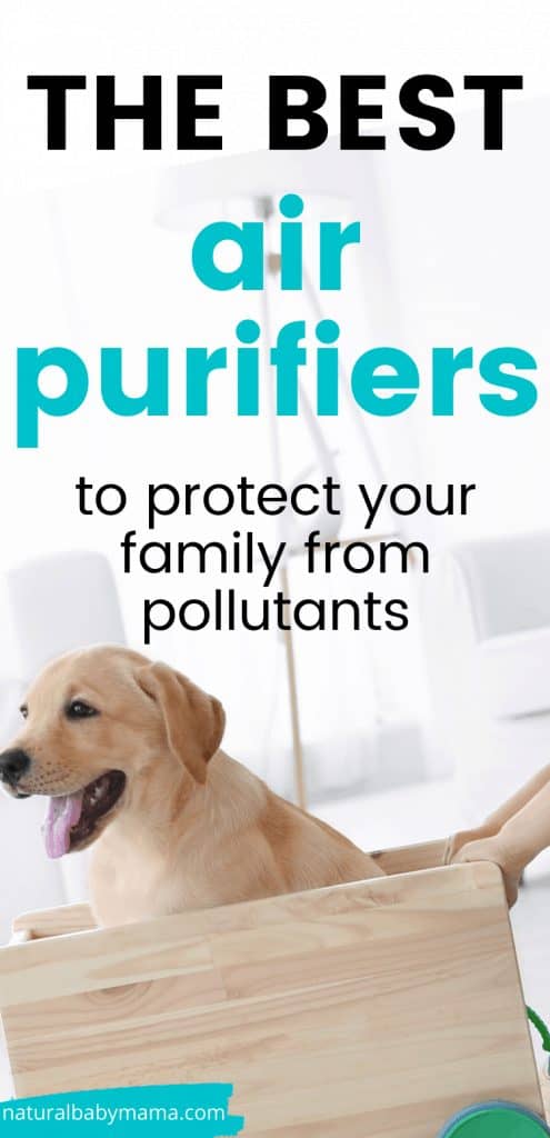 Air Purifiers for your home