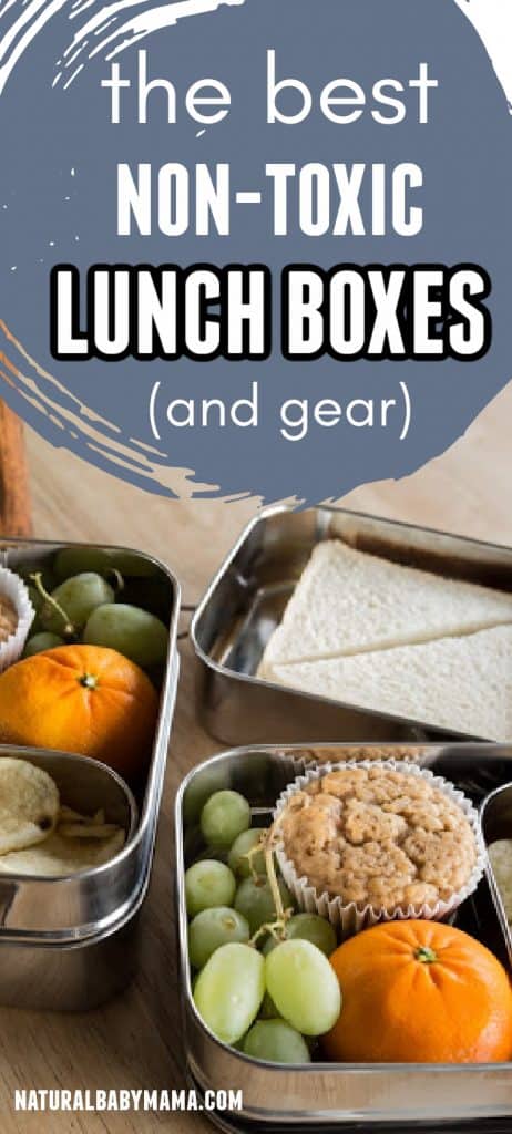 A complete guide to finding toxin free lunch boxes, bags, and essentials. Eco-friendly and zero waste.