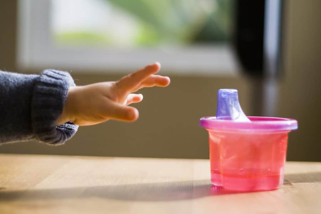 Plastic Sippy Cup and Non-Toxic alternatives