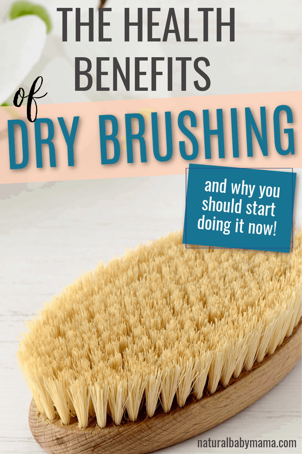 7 Benefits of Dry Brushing for Overall Health Natural Baby Mama