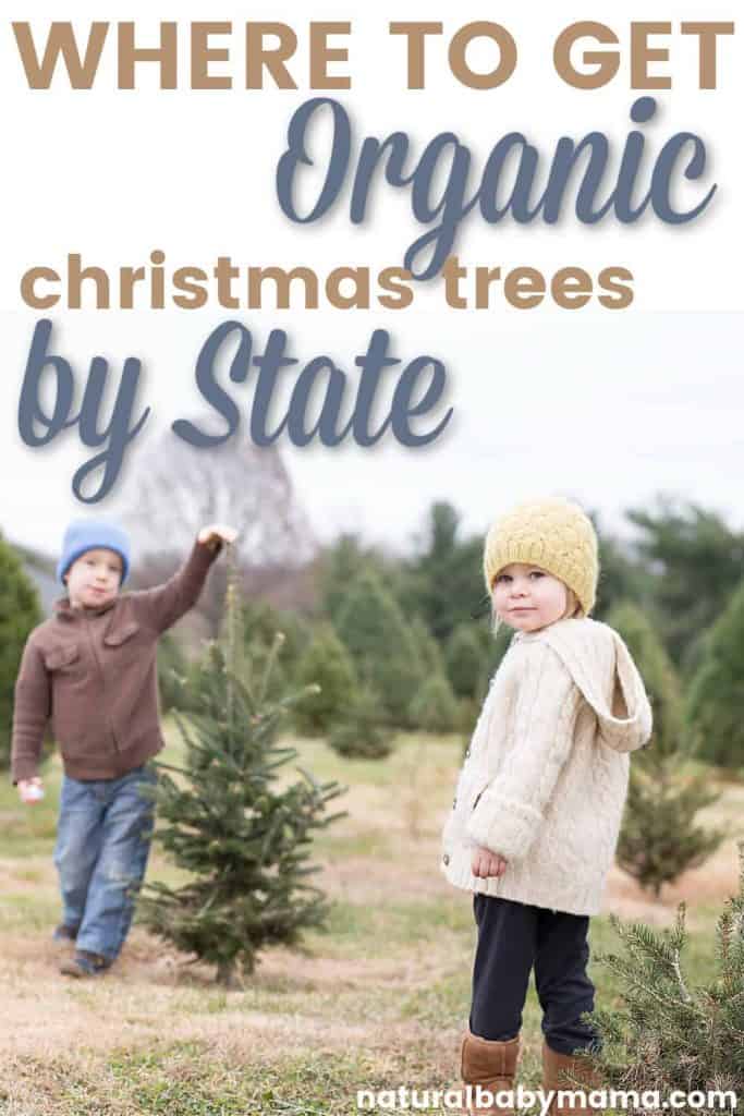 Pinterest Pin - Where to get organic Christmas Trees by State with two kids at a tree farm
