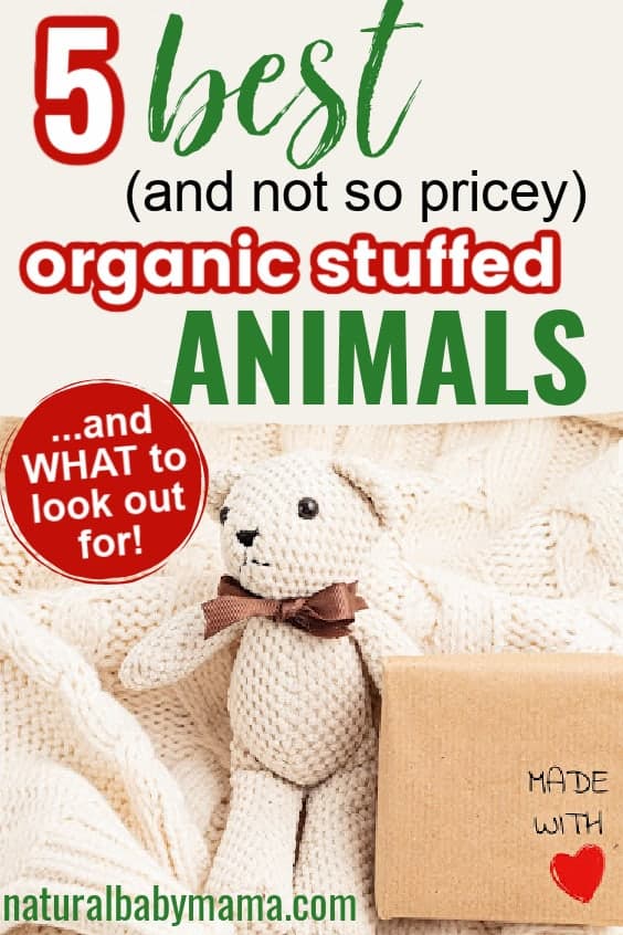 organic stuffed cat