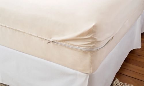 https://naturalbabymama.com/wp-content/uploads/2021/02/magnolia-organics-mattress-protector-500x300-1.jpg