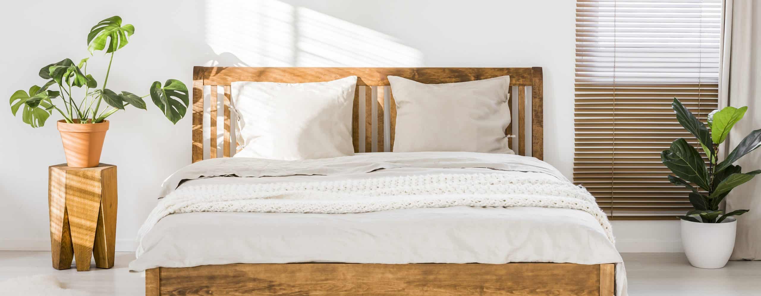 bedbug mattress protectors organic