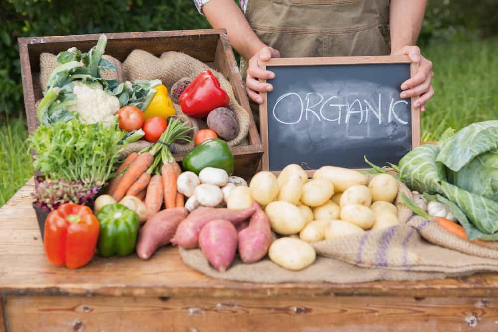 Farmer with a table full of organic vegetables