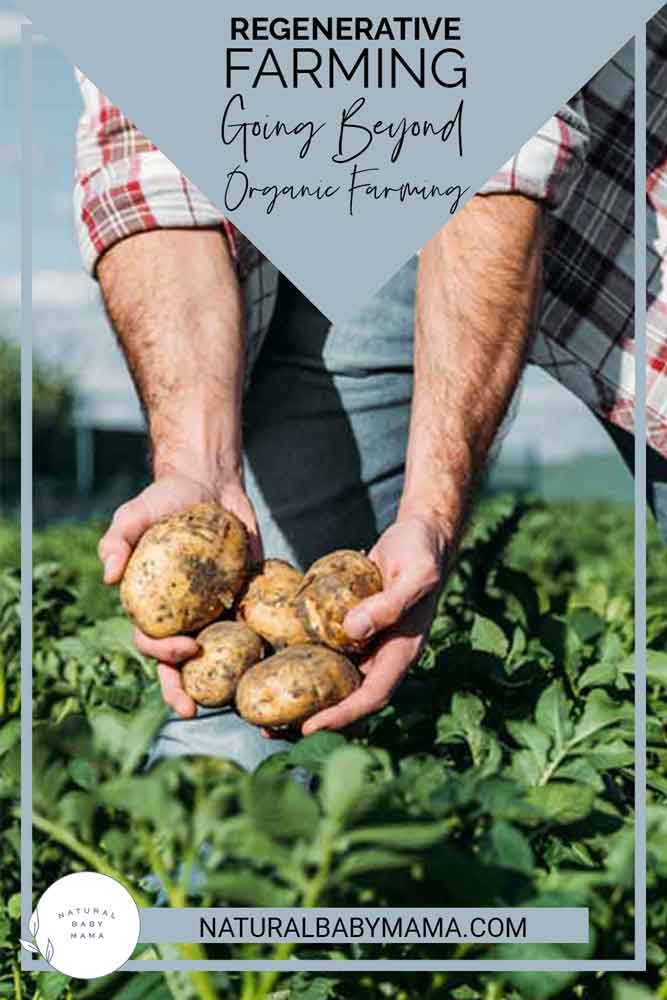 Regenerative Farming: Going Beyond Organic Farming - Natural Baby Mama
