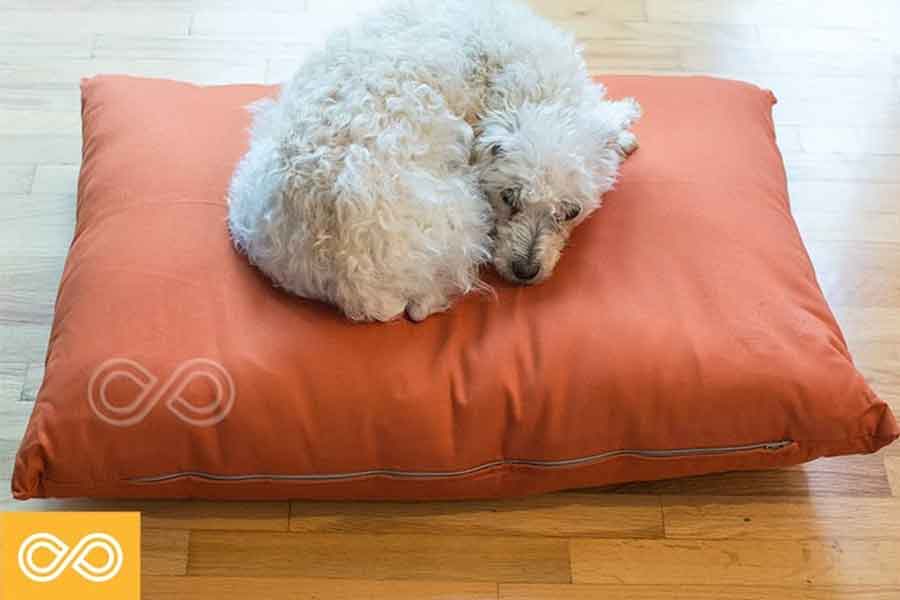White Dog Laying on Red Dog Bed - Rawganique Dog Mattress