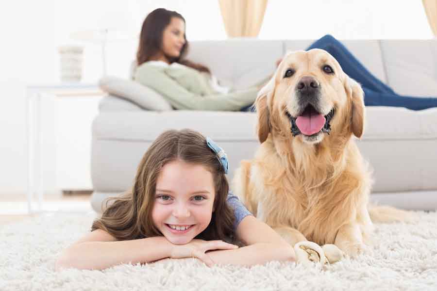 Girl and Dog laying on a rug, mom laying on the couch in the background